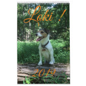 Loki 2019 kalender (Hoes)