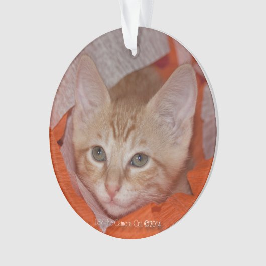 Loki in het Oranje en wit Ornament (voorkant)