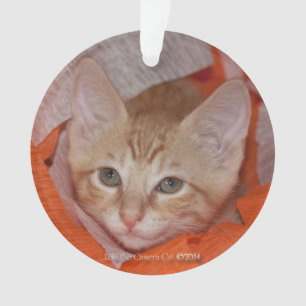 Loki in het Oranje en wit Ornament