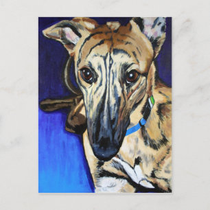 Loki - Lurcher hond Briefkaart