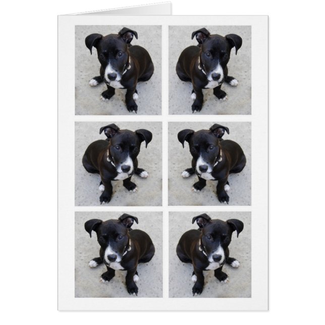 Loki Pup Collage Card (Voorkant)