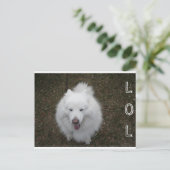 LOL BRIEFKAART (Staand voorkant)