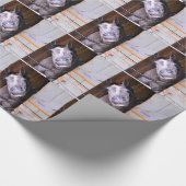 LOL CADEAUPAPIER (Hoek)