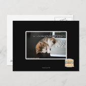 Lol cats with USB Briefkaart (Voorkant / Achterkant)