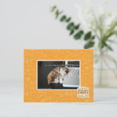 Lol cats with USB Briefkaart (Staand voorkant)