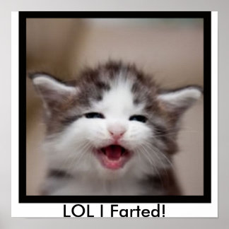 LOL, ik ben gevlucht. Poster