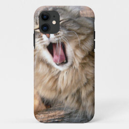 LOL Maine Coon iPhone 11 Hoesje