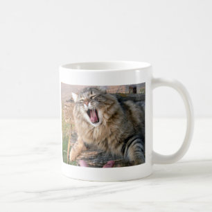 LOL Maine Coon Koffiemok