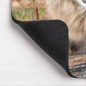 LOL Maine Coon Muismat (Hoek)