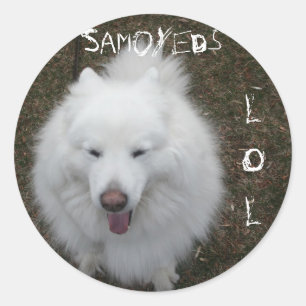 LOL RONDE STICKER
