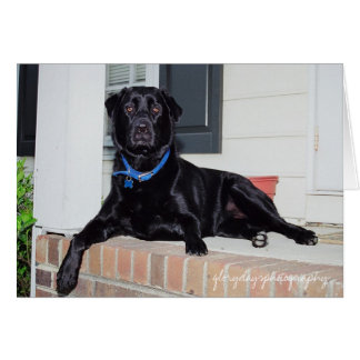 Lola, glorydaysphotografie