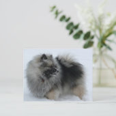 Lola in het Briefkaart van de winter (Staand voorkant)