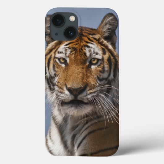 Lola iPad draagtas Case-Mate iPhone Case (Achterkant)