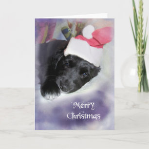 Lola met kerst feestdagen kaart