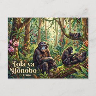 Lola ya Bonobo Sanctuary Briefkaart