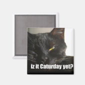 LOLCat 2 Magneet (Voorkant / Achterkant)