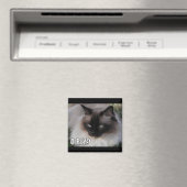 LOLCat 4 Magneet (Insitu (Vaatwasser))