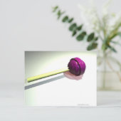 Lollipop Briefkaart (Staand voorkant)