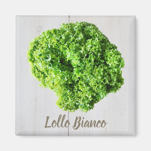 Lollo Bianco Salad sla bladeren van Vegans Magneet (Voorkant)