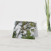 Lolly Pine Trees OBX Note Kaart (Voorkant)