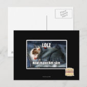 LOLZ nu in zakformaat Briefkaart (Voorkant / Achterkant)