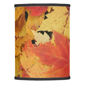 L'Ombre De Lampe Personnalisée (Uniquement)