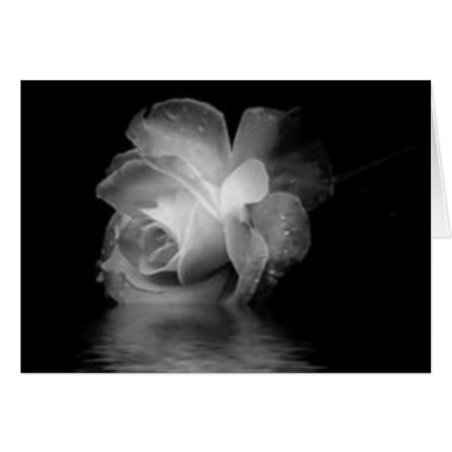 L'ombre noire s'est levée (Devant horizontal)