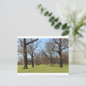 Londen Briefkaart (Staand voorkant)