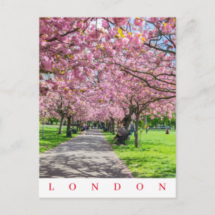 Londen Greenwich Park kersenbloesem uitzicht ansic Briefkaart