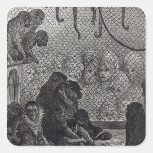 Londense apen vierkante sticker