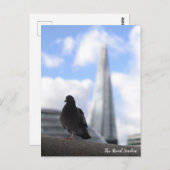 Londense duif met Uitzicht van de Shard in Backgro Briefkaart (Voorkant / Achterkant)