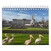 London Park Wildlife Tranquility Kalender (Hoes)