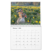 London Park Wildlife Tranquility Kalender (Feb 2026)