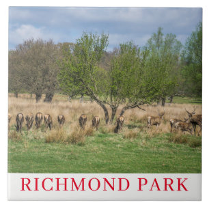 London Richmond Park hert keramische tegels Tegeltje