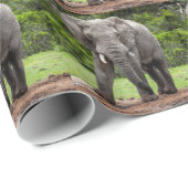 Lone Afrikaanse olifantenstier. Cadeaupapier (Rol Hoek)