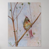 Lone Bird on a Tree Branch Poster (Voorkant)