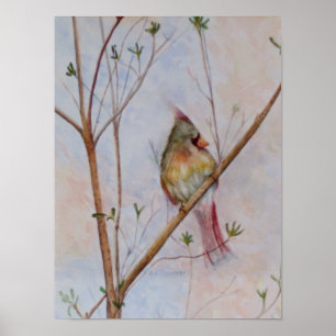 Lone Bird on a Tree Branch Poster