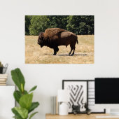 Lone Buffalo Poster (Thuiskantoor)
