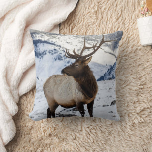 Lone Bull Elk in Snow Nationaal Park Yellowstone Kussen