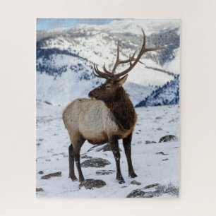 Lone Bull Elk in Snow Nationaal Park Yellowstone Legpuzzel