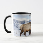 Lone Bull Elk | Nationaal Park Yellowstone Mok (Links)