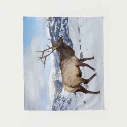 Lone Bull Elk | Nationaal Park Yellowstone Wandkleed (Voorkant)