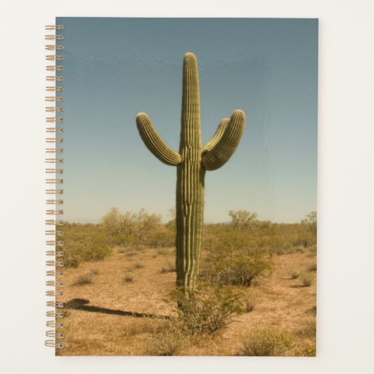 Lone Cactus (Devant)