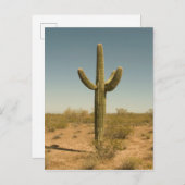 Lone Cactus Briefkaart (Voorkant / Achterkant)