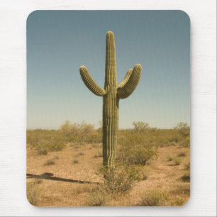 Lone Cactus Muismat