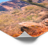 Lone Cactus Poster (Hoek)