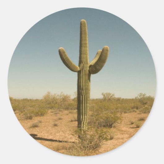 Lone Cactus Ronde Sticker (Voorkant)