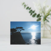 Lone Cypress Briefkaart (Staand voorkant)