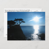 Lone Cypress Briefkaart (Voorkant / Achterkant)