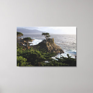Lone Cypress - impression de toile étirée
